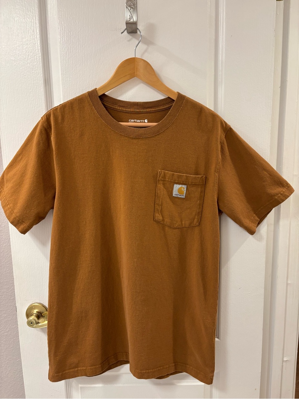 Carhartt Men's Pocket Cotton T-Shirt in Brown Back Graphic